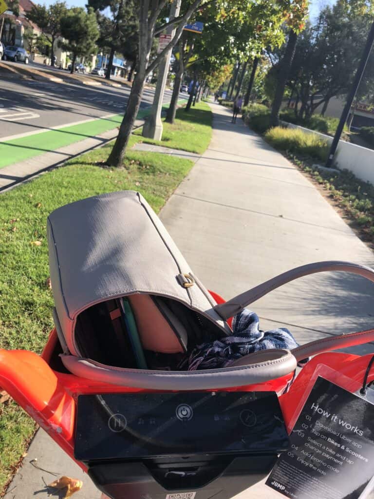 Close up of the Dagne Dover tote in the bike basket. 