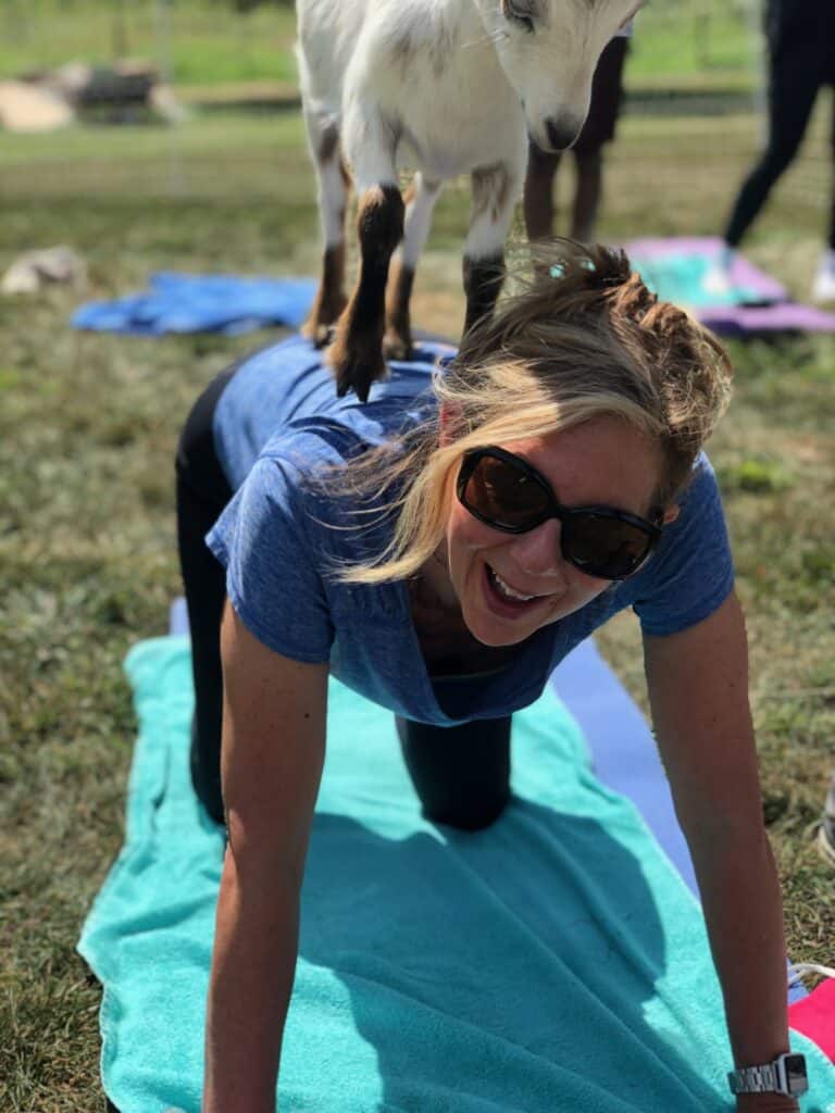 a woman doing yoga with a white goat standing on her back.