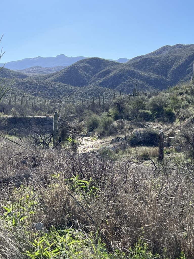 View of rolling mountains, blue sky and cacti in the foreground at the dude ranch spring break vacation.