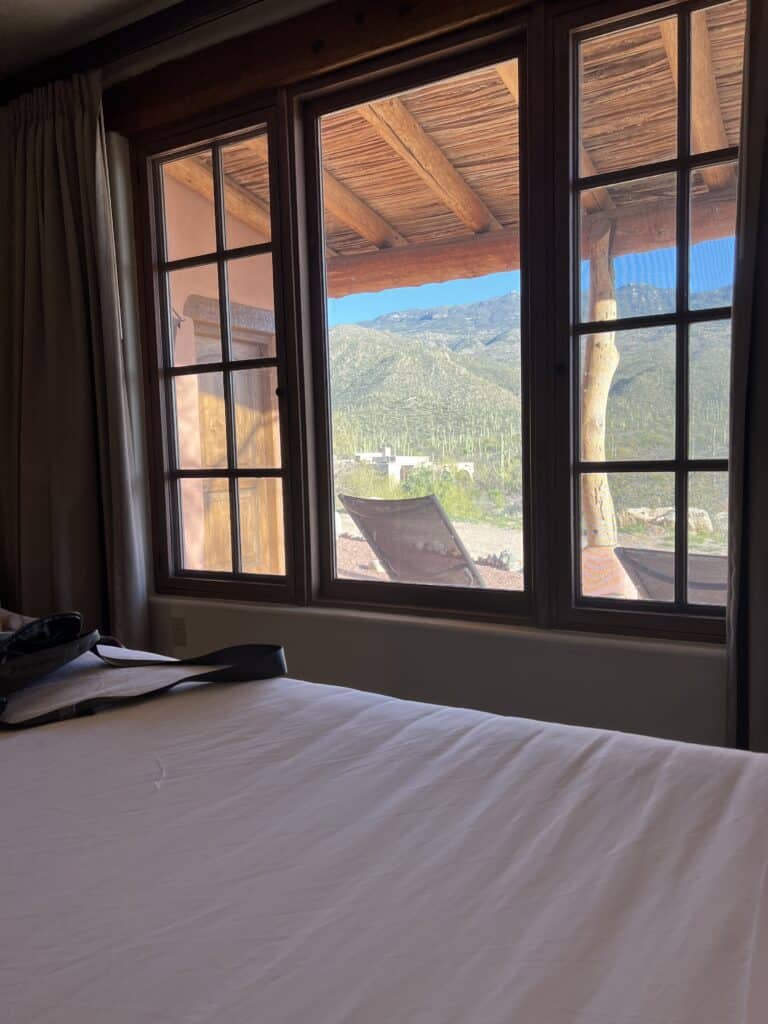 View of the mountains from the primary bedroom.