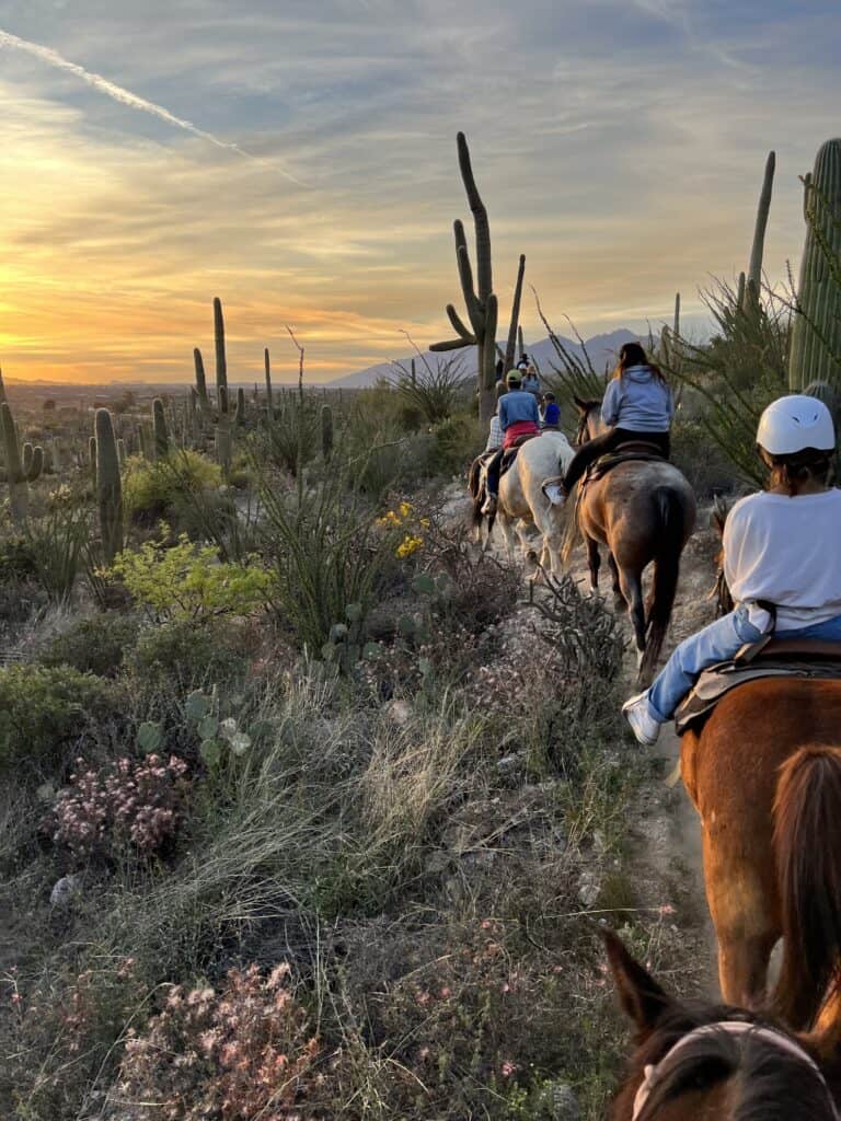 Family taking a tailride through the mountains at sunset.  The perfect activity for spring break with teens.