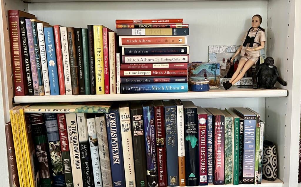 Close up of two shelves with books about Africa and a doll of Jane Goodall with a chimp.