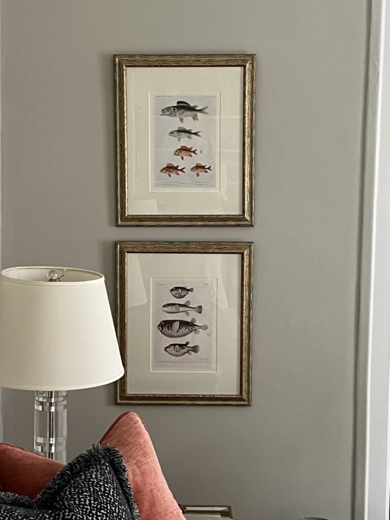 A pair of framed fish prints hung vertically on a wall. 