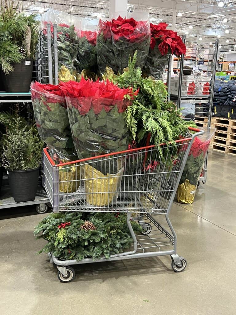 Shopping cart at Costco, filled with wreaths, greens and poinsettia's, the foundation of my simple Christmas Decor. 